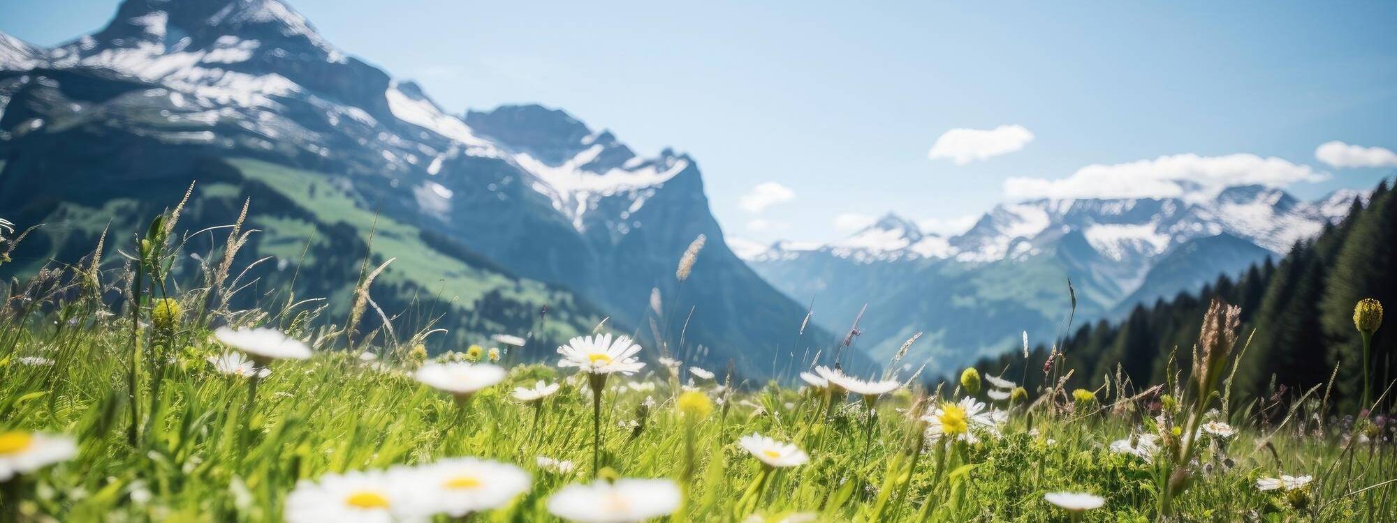 Sommerurlaub - Hohe Salve